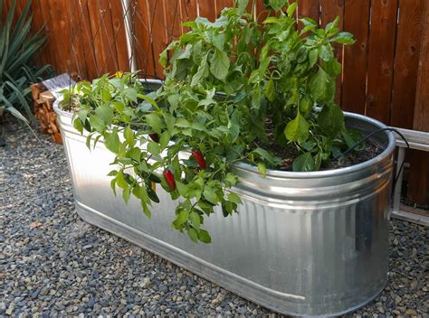 metal growing containers